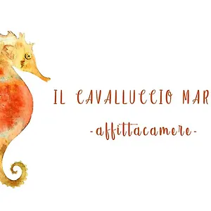  Maison d'hôtes Il Cavalluccio Marino Italie